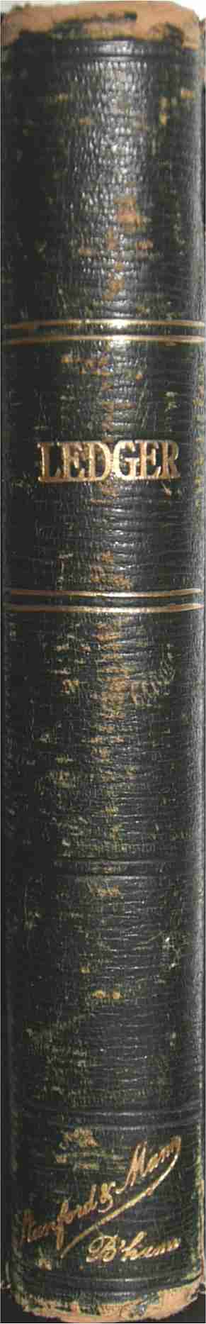 spine