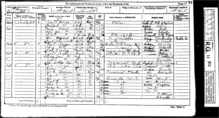 1871 census